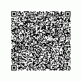 vCard 79833237394