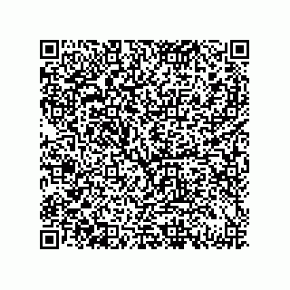 vCard 79833237603