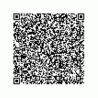 vCard 79833237696