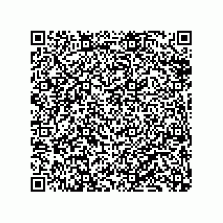 vCard 79833238003