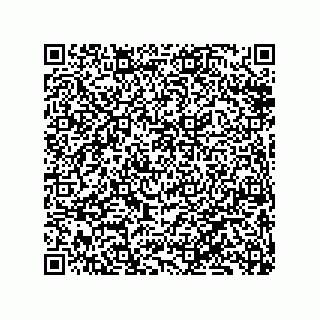 vCard 79833238021