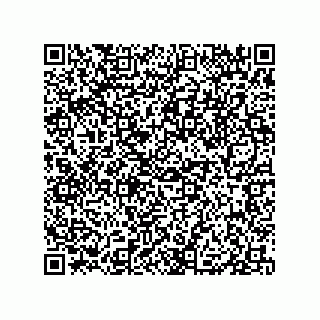 vCard 79833238029