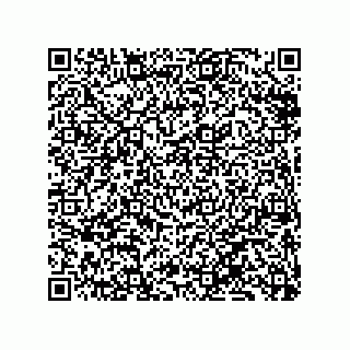 vCard 79833238030