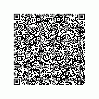 vCard 79833238040