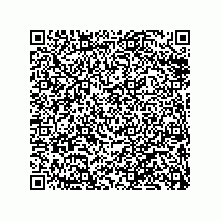 vCard 79833238084