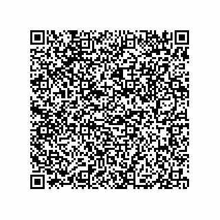 vCard 79833238095
