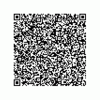 vCard 79833238096