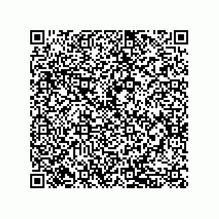 vCard 79833238117