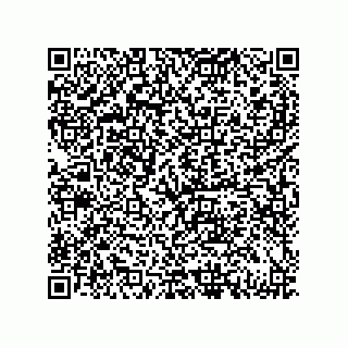 vCard 79833238129