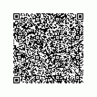 vCard 79833238131