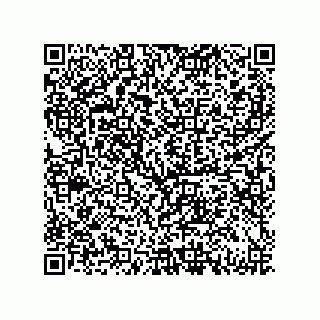 vCard 79833238133