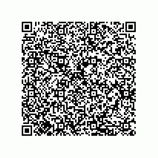 vCard 79833238135