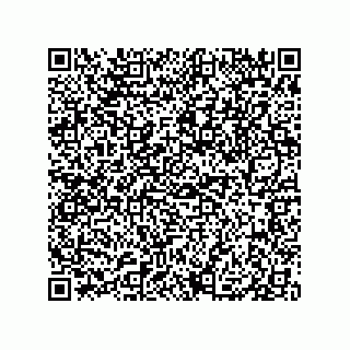 vCard 79833238138