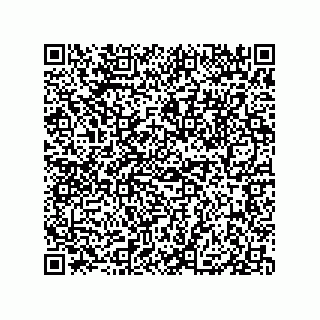 vCard 79833238140