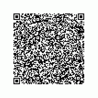 vCard 79833238153