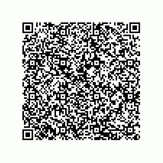 vCard 79833238165
