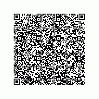 vCard 79833238171