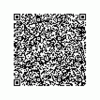 vCard 79833238173