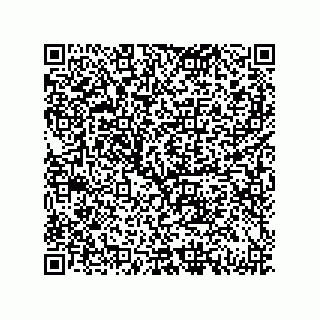 vCard 79833238179
