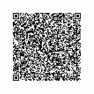 vCard 79833238199