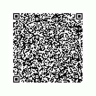 vCard 79833238203
