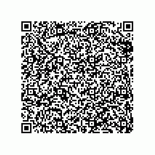 vCard 79833238219