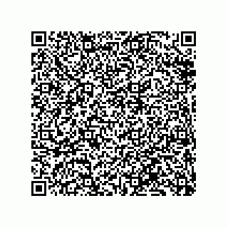 vCard 79833238220