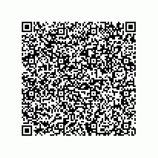 vCard 79833238238