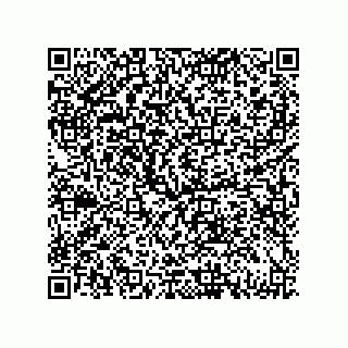 vCard 79833238272