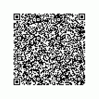 vCard 79833238328