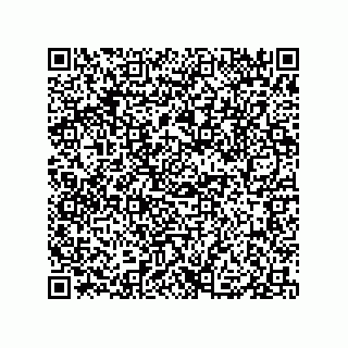 vCard 79833238329