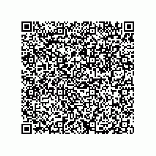 vCard 79833238378