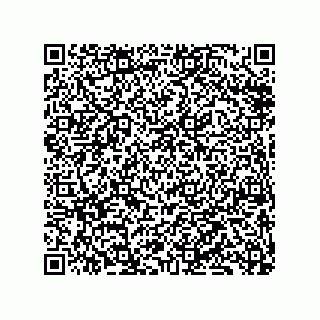 vCard 79833238387