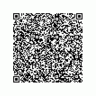 vCard 79833238393