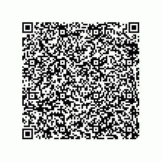 vCard 79833238395