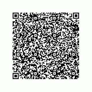 vCard 79833238411