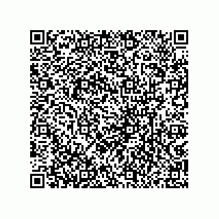 vCard 79833238481