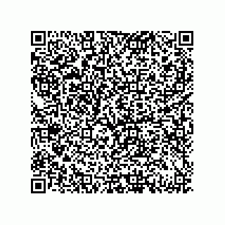 vCard 79833238579