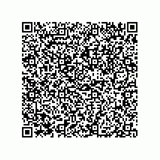 vCard 79833238715