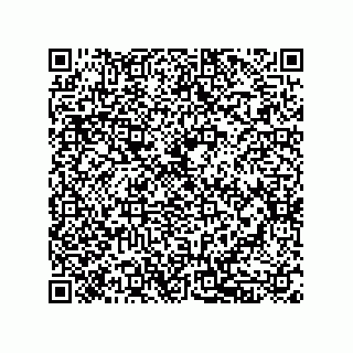 vCard 79833238784