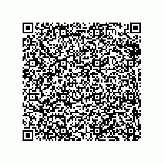 vCard 79833238813