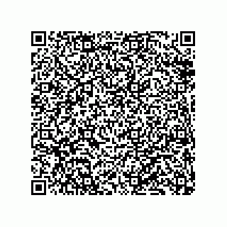 vCard 79833238823