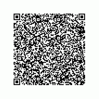 vCard 79833238831