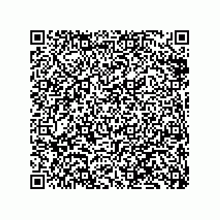 vCard 79833238838