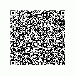 vCard 79833238839