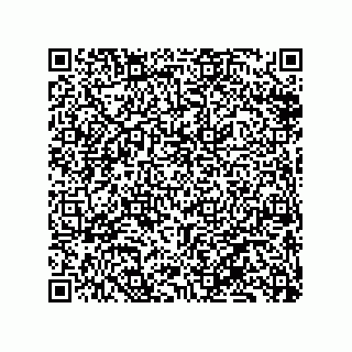 vCard 79833239000