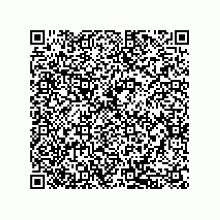 vCard 79833239001