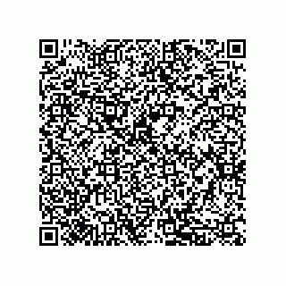 vCard 79833239007