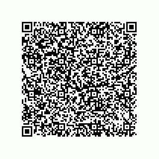 vCard 79833239013
