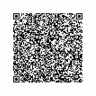 vCard 79833239028